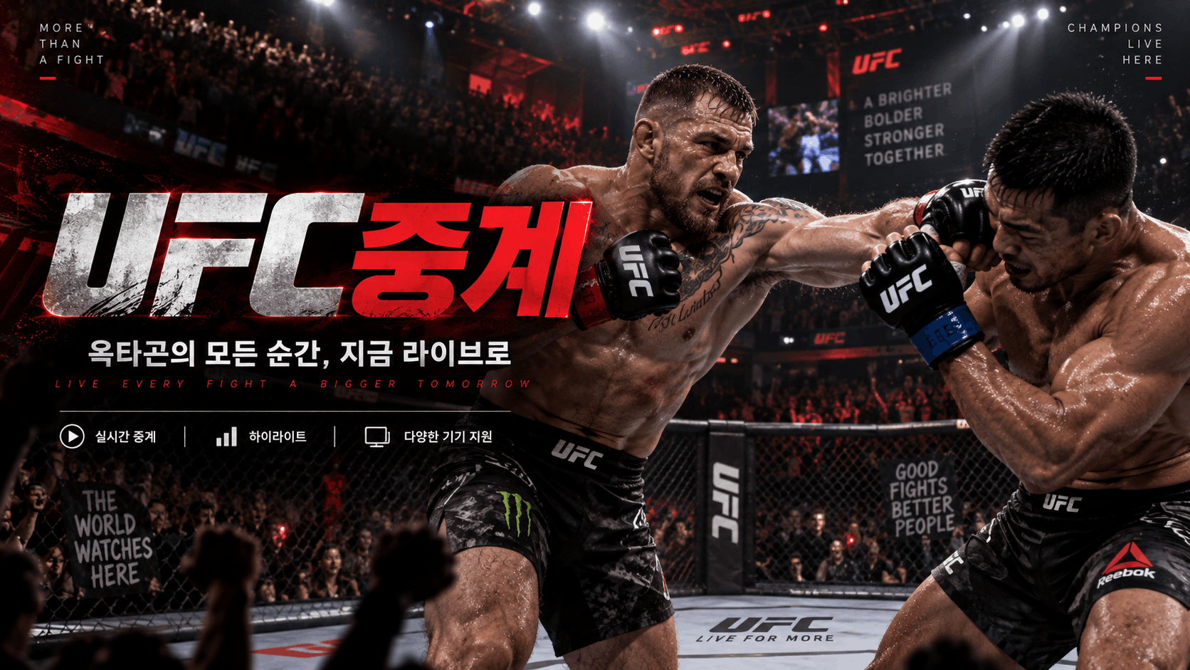 UFC 경기일정과 격투기 한국시간 안내